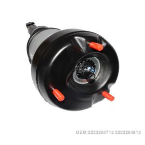 2223204713 2223204813 Air Suspension Shock For Mercedes Benz W222 Front Air