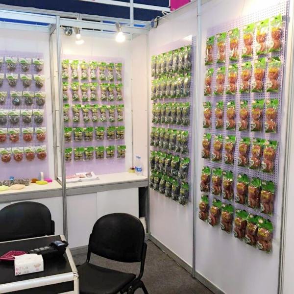 Kitchen Colorful Plastic Mesh Scourer Soft for Hand Sponge in Plastic Scouring Pad