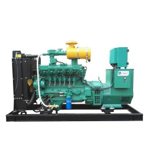 CNG LNG LPG Generator as Standby Home Generator