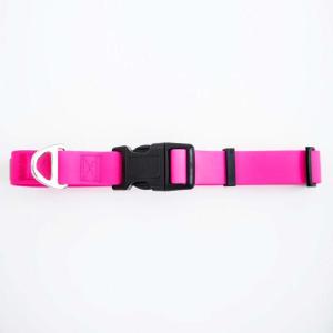 Reflective Waterproof Dog Collars , Smell Proof Dog Collar Polyester Webbing