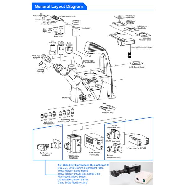 Binocular Wide Field Fluorescence Microscopy A16.2614 40X - 1600X Magnification