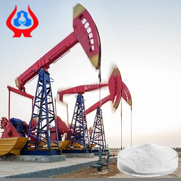 Oil Drilling Grade CMC And PAC Factory Direct Sell With High Purity And Apparent