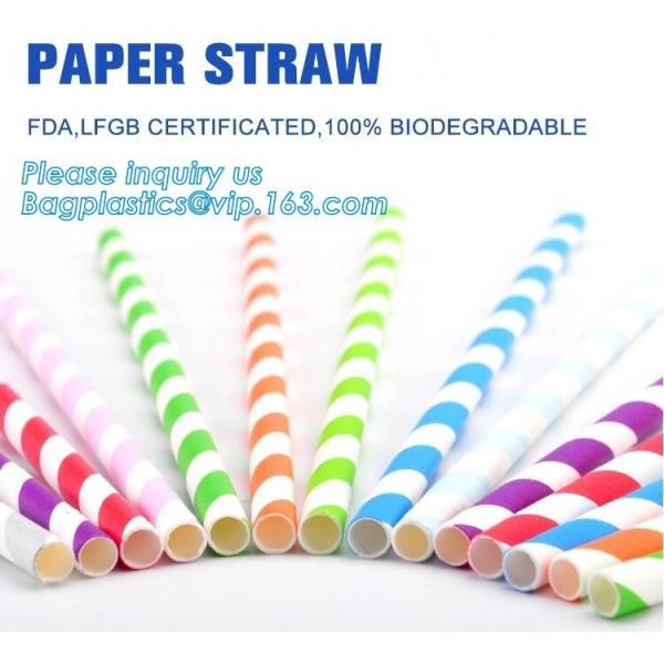 Eco Friendly Disposable Dinnerware Biodegradable Paper Drinking Straw Paper
