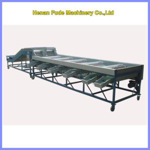 China Garlic grading machine, garlic sorting machine on sale