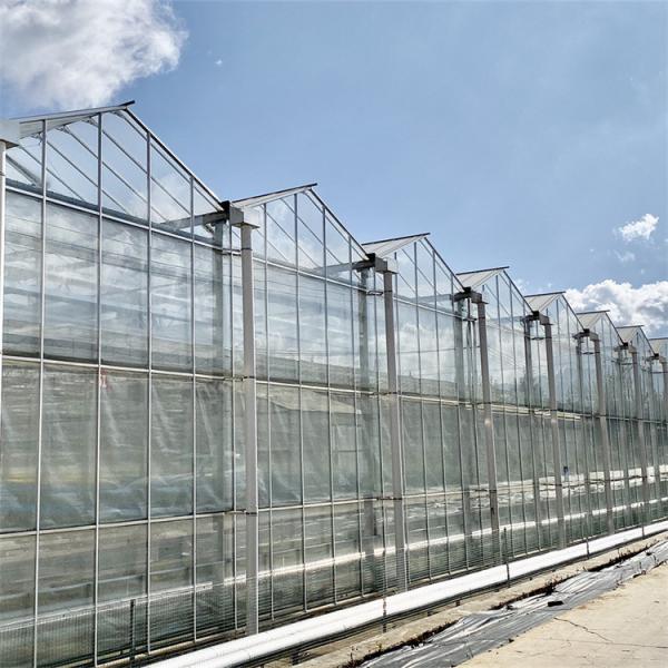 Buy Chinese Agriculture Tempered Glass Greenhouse Venlo Type Galvanized Commercial at wholesale prices