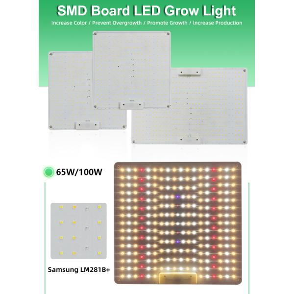 65w 100w Led Plant Light Switch Control For Flower And Vegetable Growth