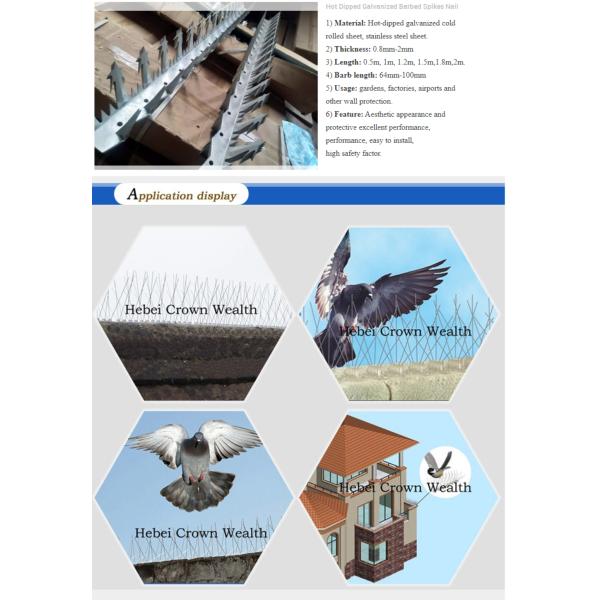 Hot Dipped Galvanized Wire Fence Security Spikes Burglar Proof