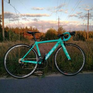 Rim Brake Carbon Road Bike 700C 23C Tires 22 Speed Shimano Groupset