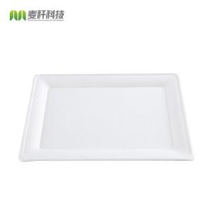 Biodegradable Food Container Rectangular Bagasse Plates