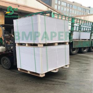 200g + 20g PE Cup Base Paper Folding Resistance Water Resistance