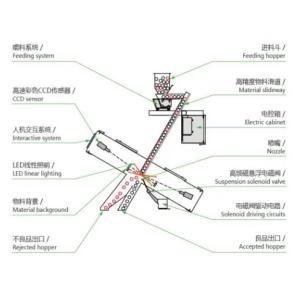 220V/50Hz Cashew Colour Sorting Machine New Design Unmatched Performance