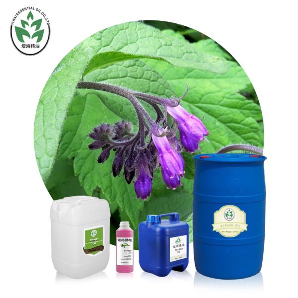 Buy Lithospermum Borage Essential Oil Cold Press Skin Ulcers Treatment at wholesale prices