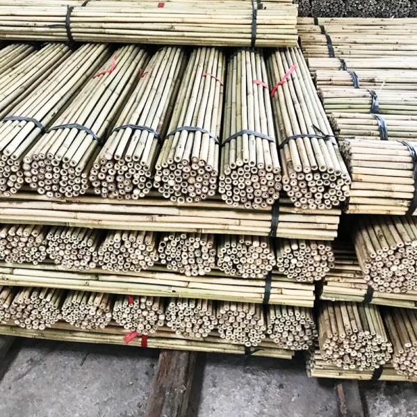Tonkin Bamboo Cane for Plants Grow Support Custom Size Bamboo Stick
