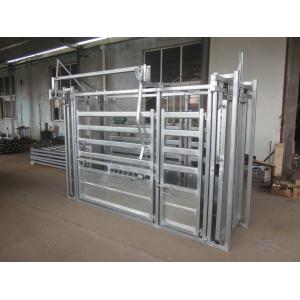 Heavy Duty Cattle Farm Equipment Sheep Weighing Scales ISO9001 Approval