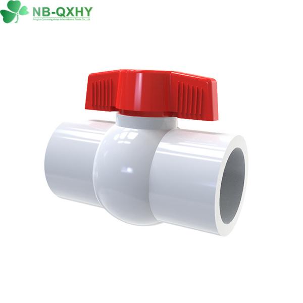 Swimming Pool Water Pipe Connector PVC Plastic Ball Valve with Flexible