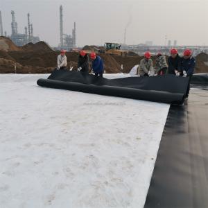 China Foldable Geomembrane Fish Pond Liner in Black or Customized Color for Crawfish Farming on sale
