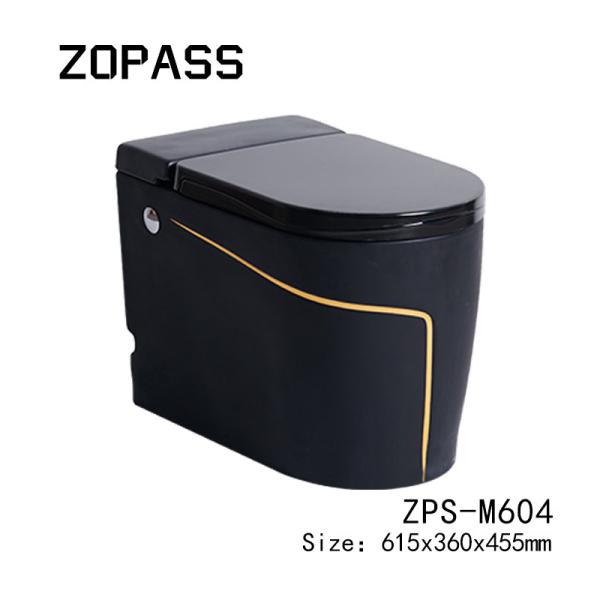 One Piece Black Smart Intelligent Toilet Sanitary Ware 615*360*455mm