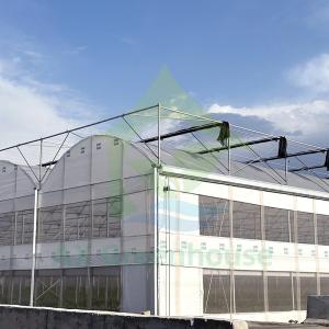 Poly Tunnel Greenhouse for Vegetables Stable Structure Easily Assembled