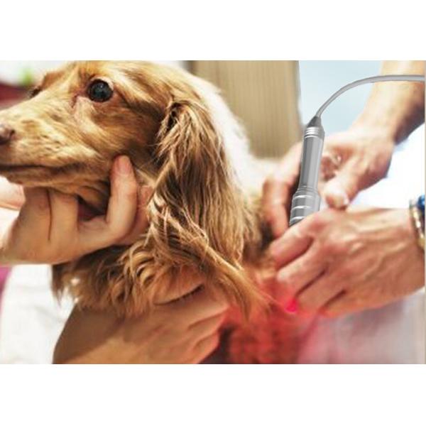 CE Veterinary Laser Therapy Machine Painless Class Four 810nm
