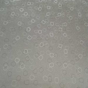 PCM PPGI Prepainted Galvanized Steel Coil For Home Appliances