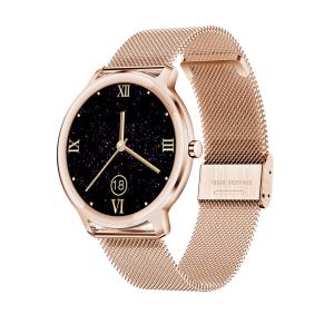 Quality Fashion Ladies Watches Brands, Luxury Brands Stainless Steel Watch Ladies Watch Women for sale