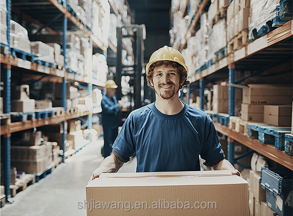 BYD's Four Pivot Balance Weight 1.6-1.8 Ton Pure Electric Forklift For Single Drive