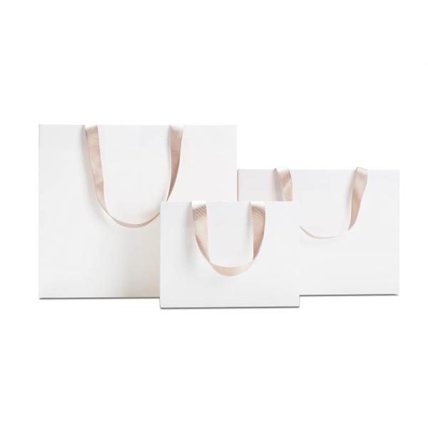 Custom Logo Popular Boutique Shopping Paper Bag in Gravure Print Design for