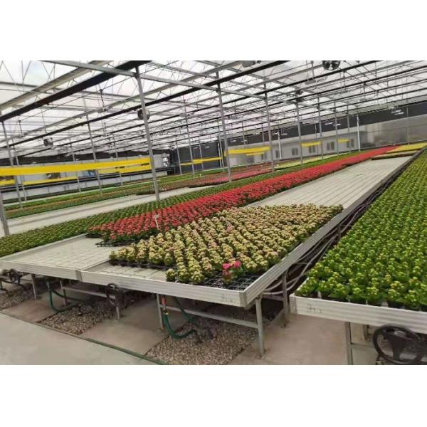 4x8feet Movable Ebb And Flood Rolling Bench Table Abs Tray In Greenhouse