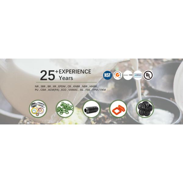 Custom High Precision Rubber Diaphragm Seal FPM Silicone HNBR Gasket