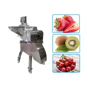 China 1500W Fruit Processing Equipment For Strawberry / Date / Mushroom / Pineapple on sale