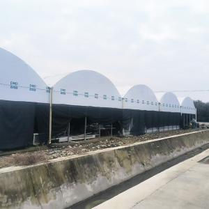 Nursery Commercial Blackout System Plastic Panda Film Multi-span Greenhouse