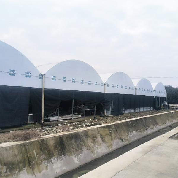 Buy Nursery Commercial Blackout System Plastic Panda Film Multi-span Greenhouse at wholesale prices