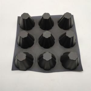 Affordable Greening System HDPE PVC Plastic Drainage Board for Water Conservancy
