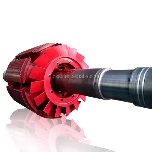 Silent Vertical water turbine 220V-690V Customized Color Brushless/Static Silicon