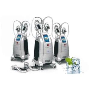 Quality Comfortable Cryolipolysis Body Slimming Machine With 4 Pcs Applicators for sale