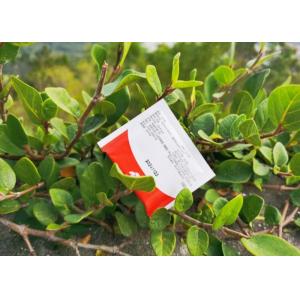 Personalized 5g Disposable White Sugar Packets Eco-Friendly