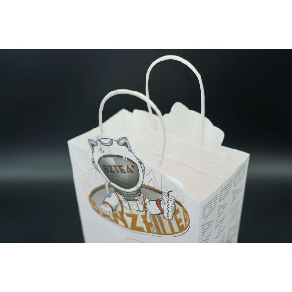 Custom Recycled Paper Printed Shopping Bag Packaging Gift Shopping Paper Bags