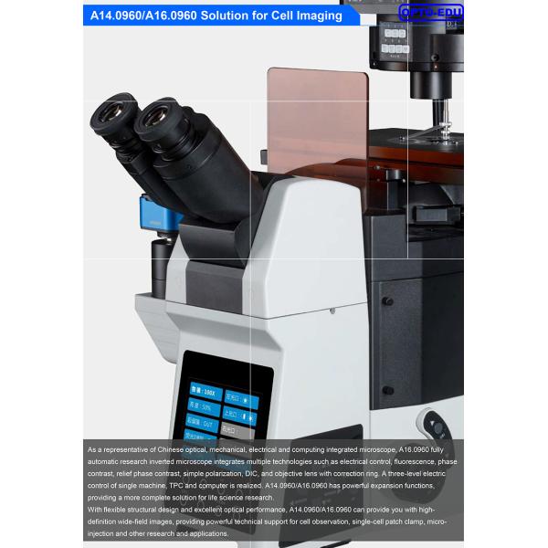 Opto Edu A16.0960 Research Level Inverted Fluorescent Microscope Motorized Nosepiece Condenser