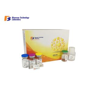96 Wells Human Deoxypyridinoline Crosslinks ELISA Kit High Sensitivity and