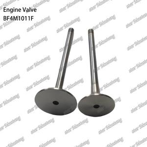 BF4M1011F Engine Piston Valve For Deutz Engine Spare Parts