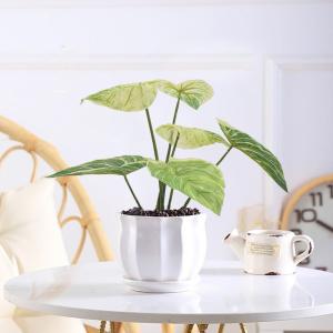 Modern Artificial Potted Floor Plants For Home And Garden Decoration Philodendro