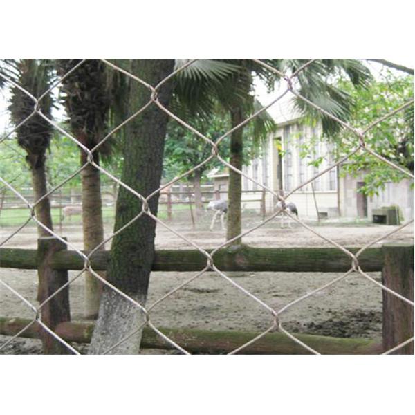Buy Diamond Animal Wire Mesh Stainless Steel With Polishing Surface Treatment at wholesale prices