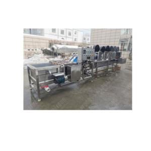 Industrial Fresh Vegetable Fruits Cleaning And Drying Processing Line Washing