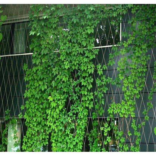 3.0mm 38 X 38mm Stainless Steel Cable Mesh For Safety Protection