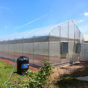 Urban Farming Sawtooth Agricultural Greenhouse Plastic Agri Greenhouse Single Span