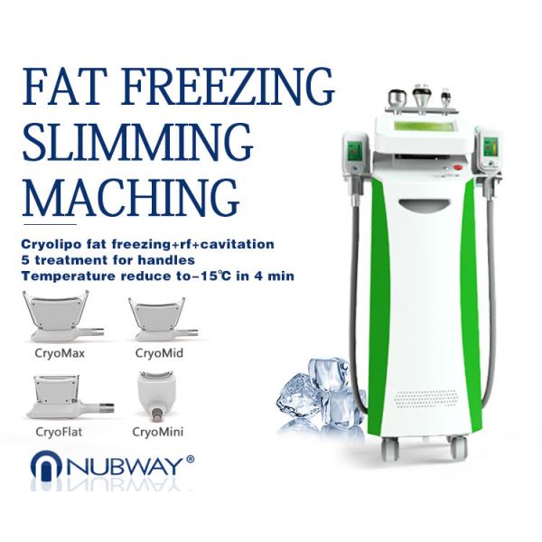 Buy Multifunctional cryotherapy weight loss / cryolipolysis slimming for salon use at wholesale prices