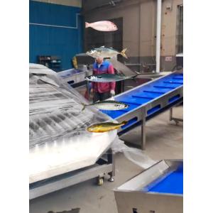 Professional Fish Automatic Grading Line And Sizing Other Small Fish