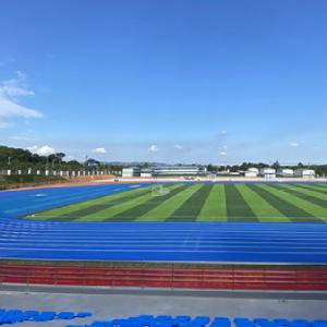 Low Maintenance Integrated Running Track With Shock Absorption