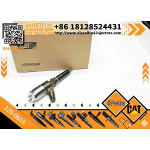 Diesel Common Rail Fuel Injector 320-0655 10R-7674 10R7674 3200655 2645A751 for