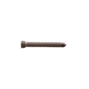 Orthopedic Implant Locking Screw Surgical Titanium Bone Screw